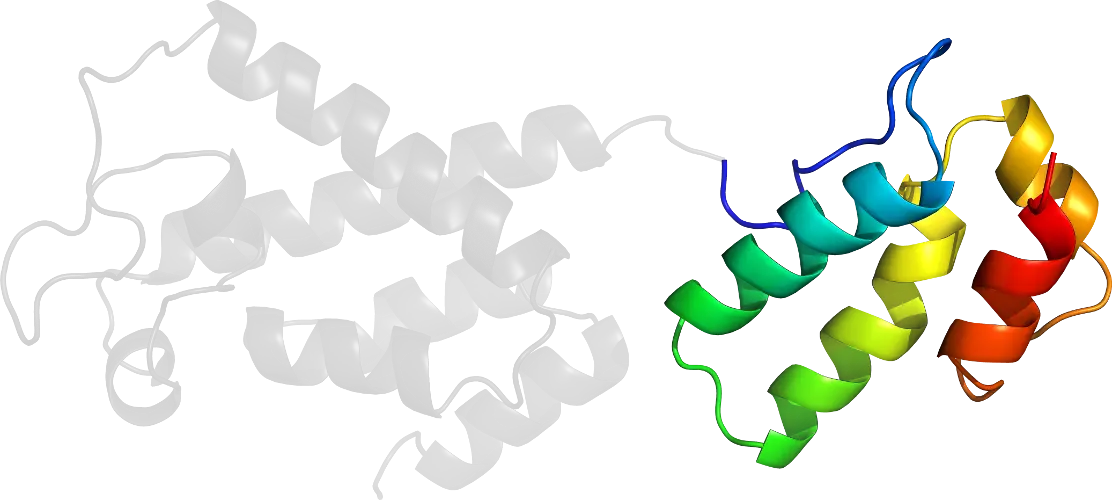 3D Protein Structure Representation
