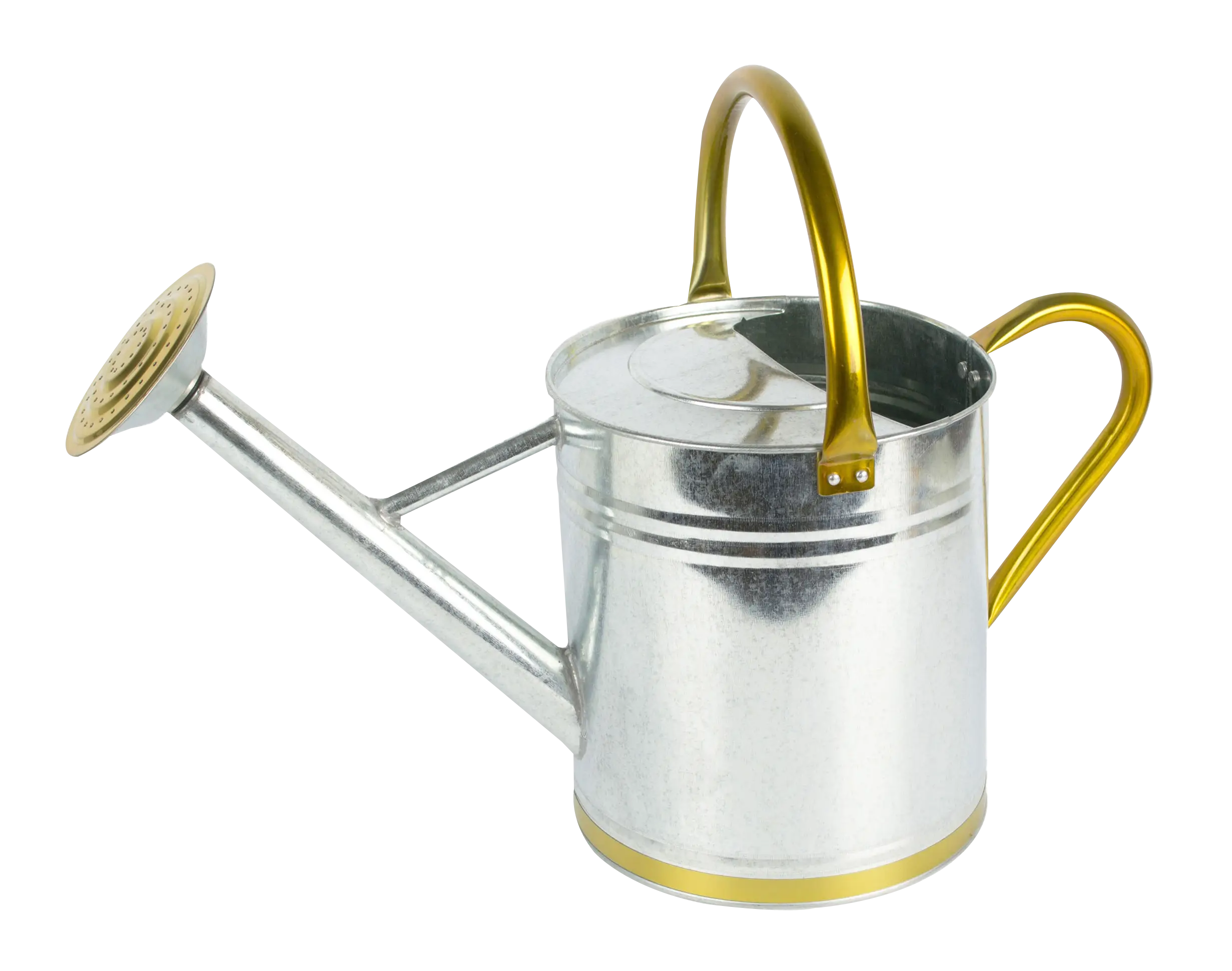 Metal Watering Can for Gardening