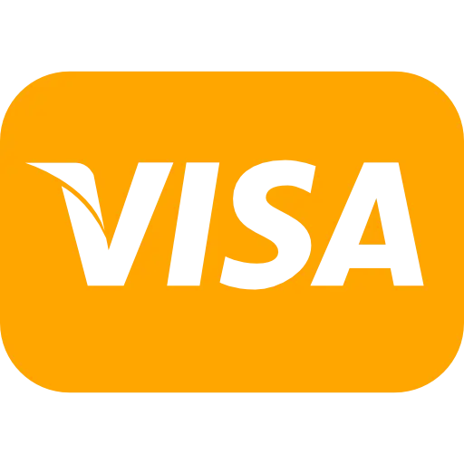 Visa Payment Logo in Yellow