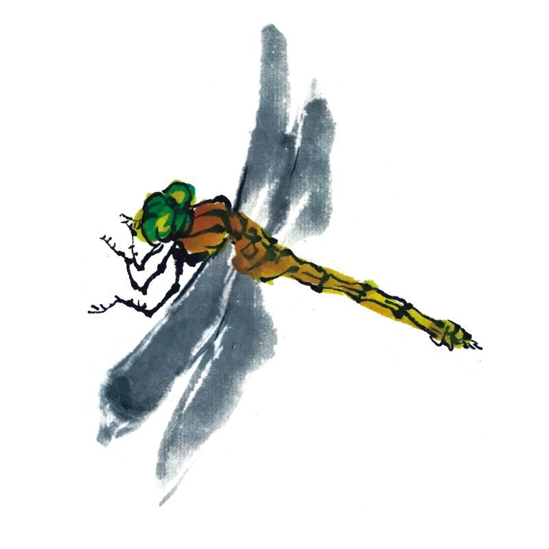 Yellow Dragonfly Illustration