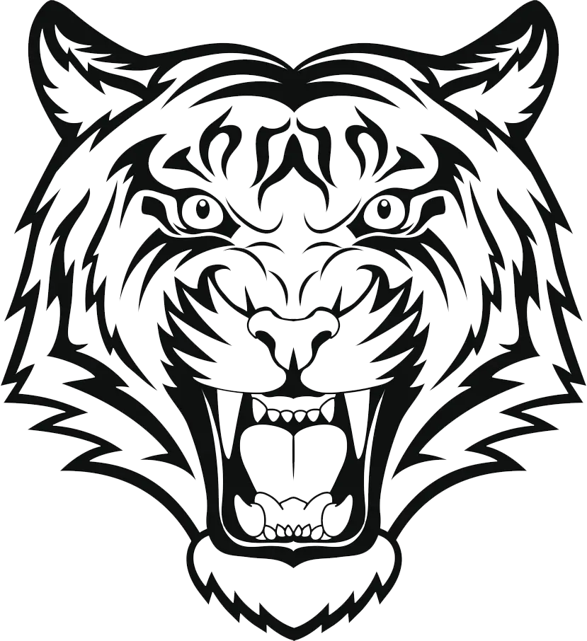 Fierce Tiger Illustration