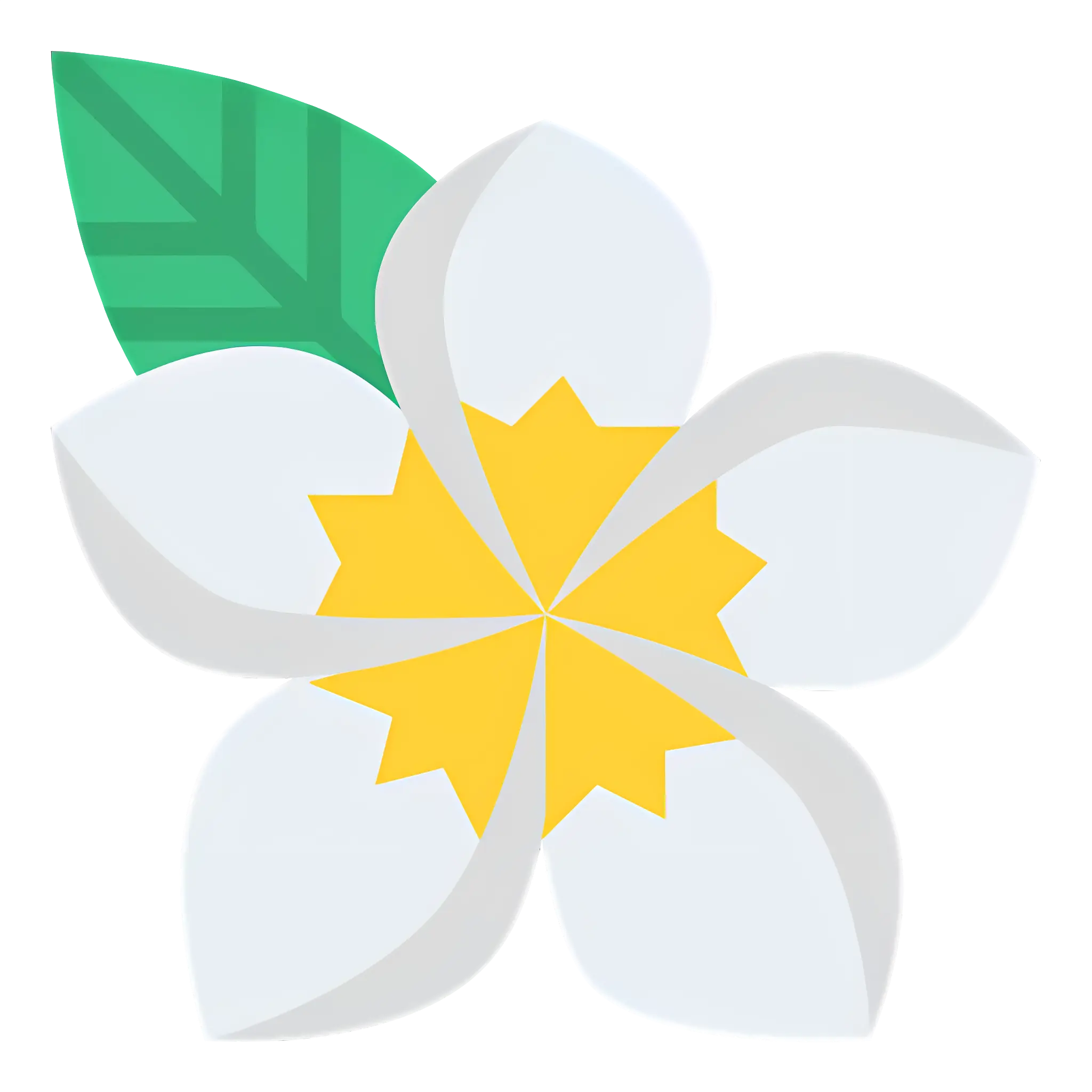 Simple White Flower with Green Leaf