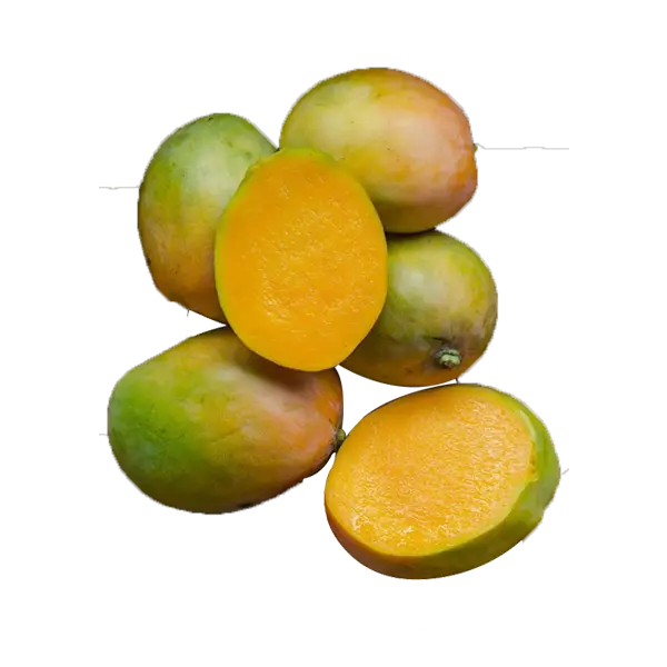 Fresh Tropical Mangoes Cut Open