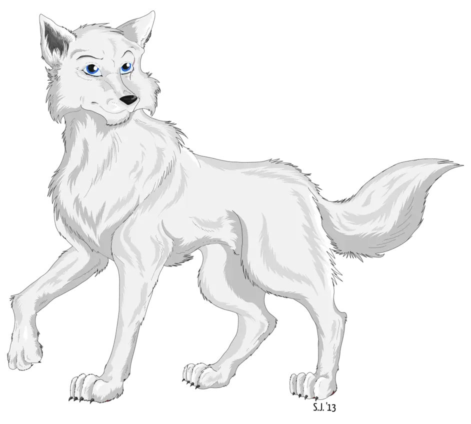White Wolf Cartoon Illustration