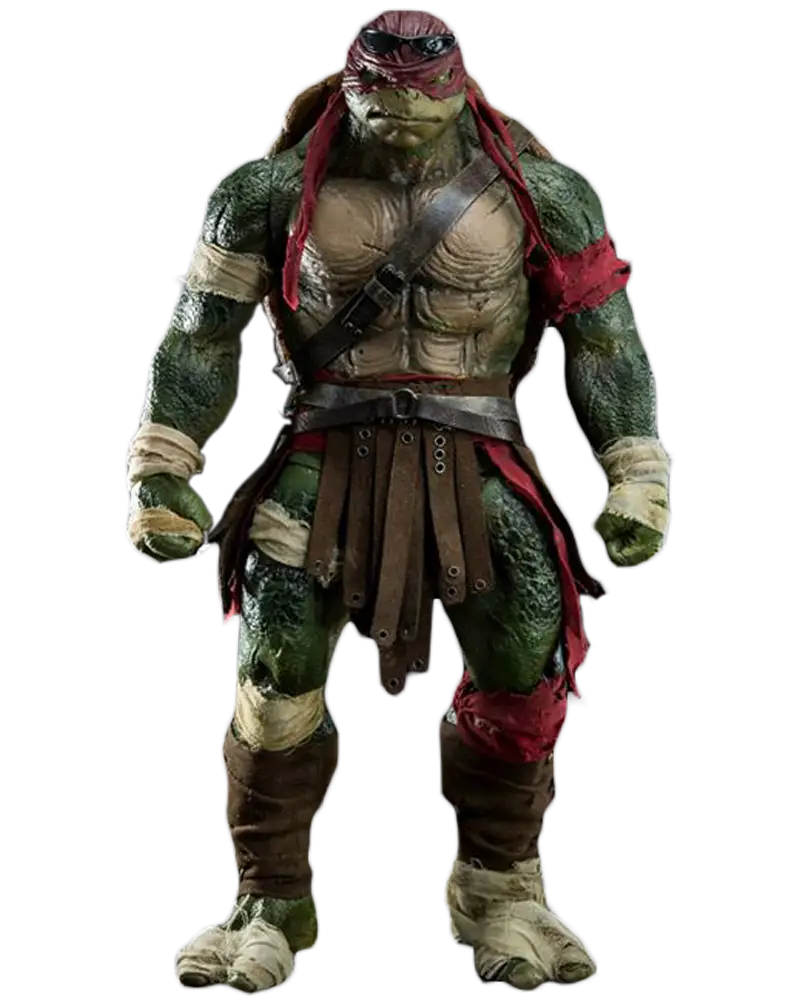 Turtle Warrior in Battle Gear