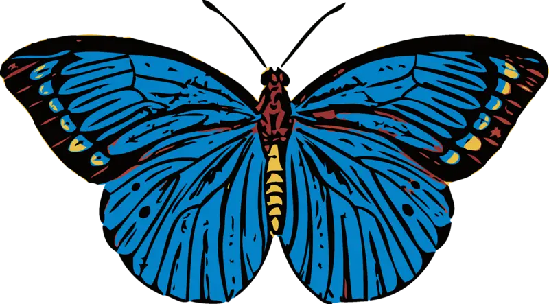 Blue Butterfly Nature Illustration
