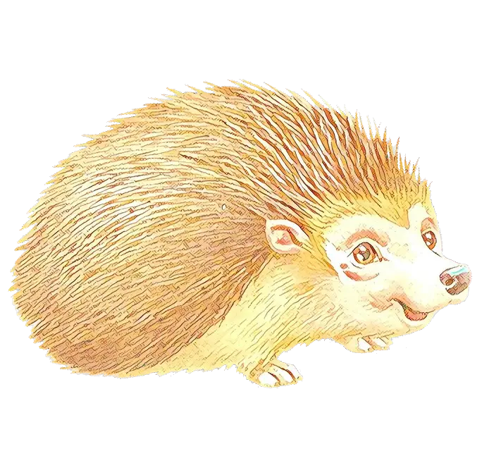 Cute Hedgehog Cartoon Illustration