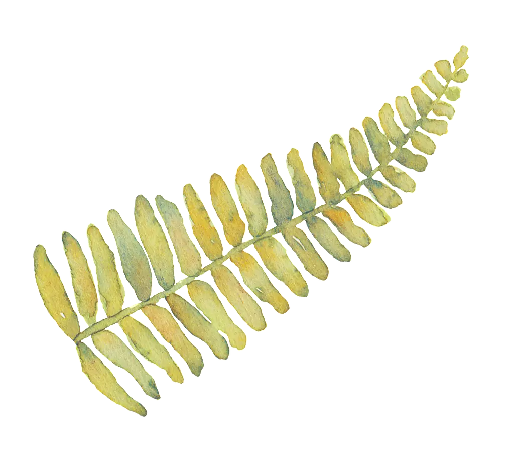 Fern Leaf Watercolor Painting