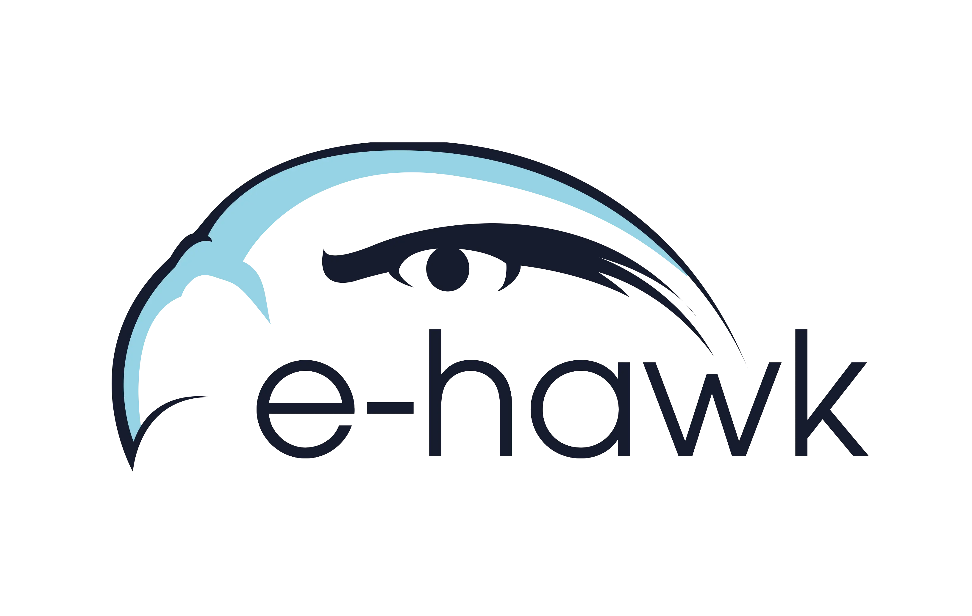 E-Hawk Logo Design