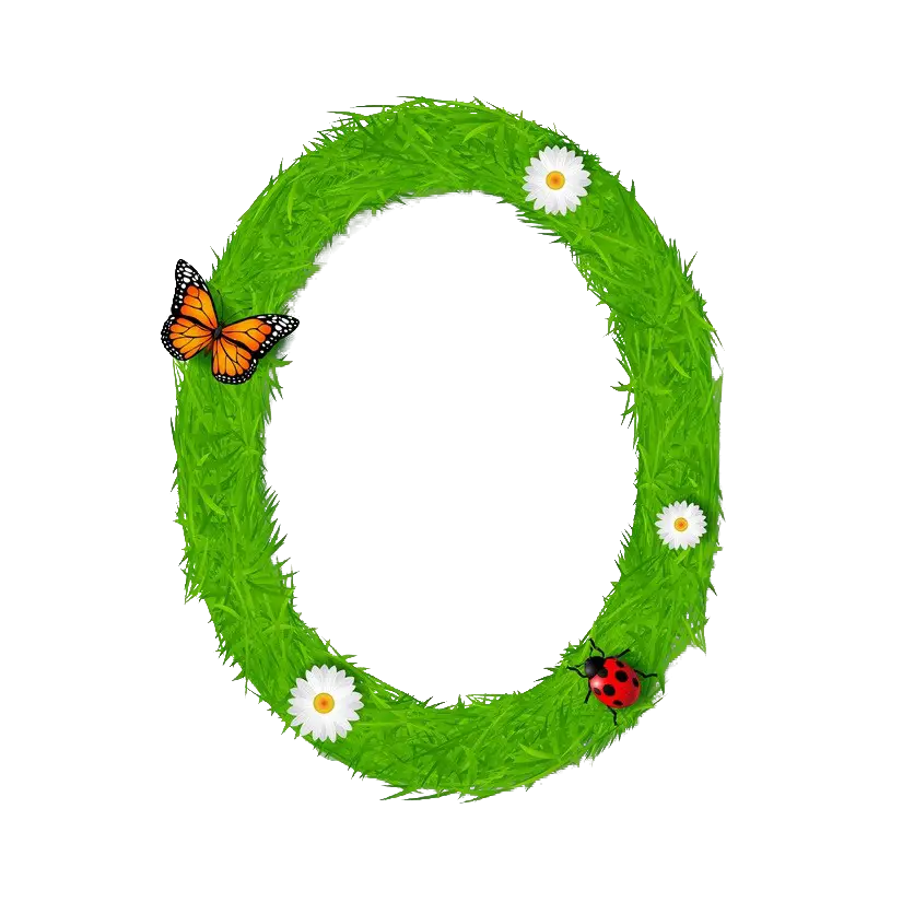 Green Letter O with Butterfly and Daisy