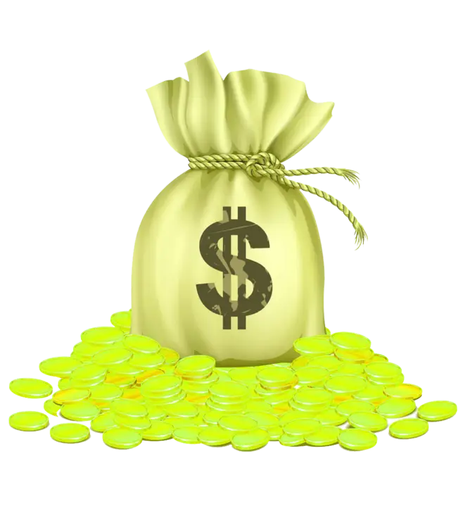Money Bag with Gold Coins Illustration