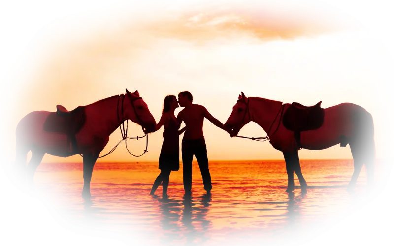 Silhouette of Couple with Horses at Sunset