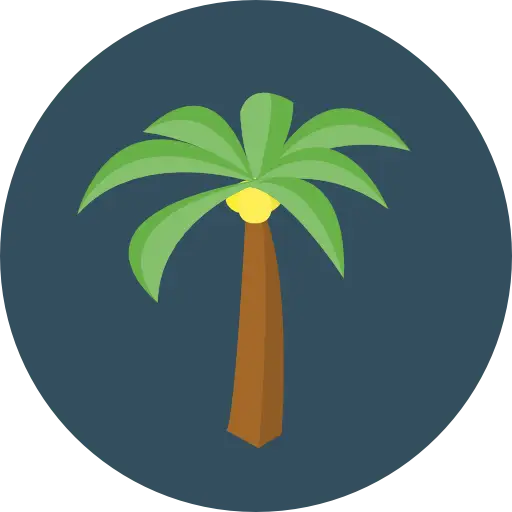 Palm Tree Icon for Tropical Design Concepts
