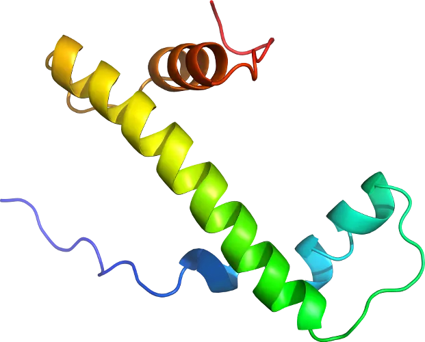 Colorful Protein Helix Molecular Structure
