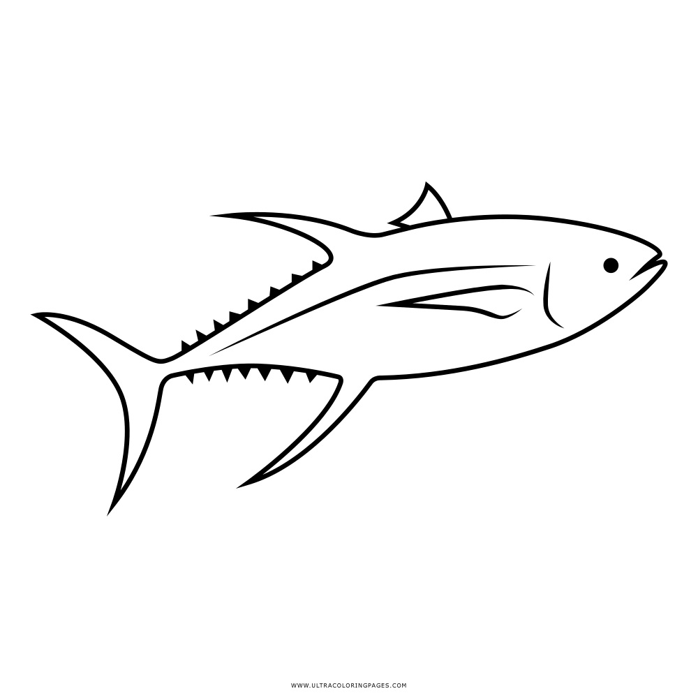 Simple Fish Line Drawing Illustration