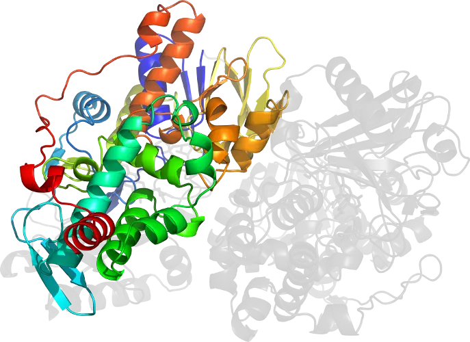 3D Molecular Structure of a Protein