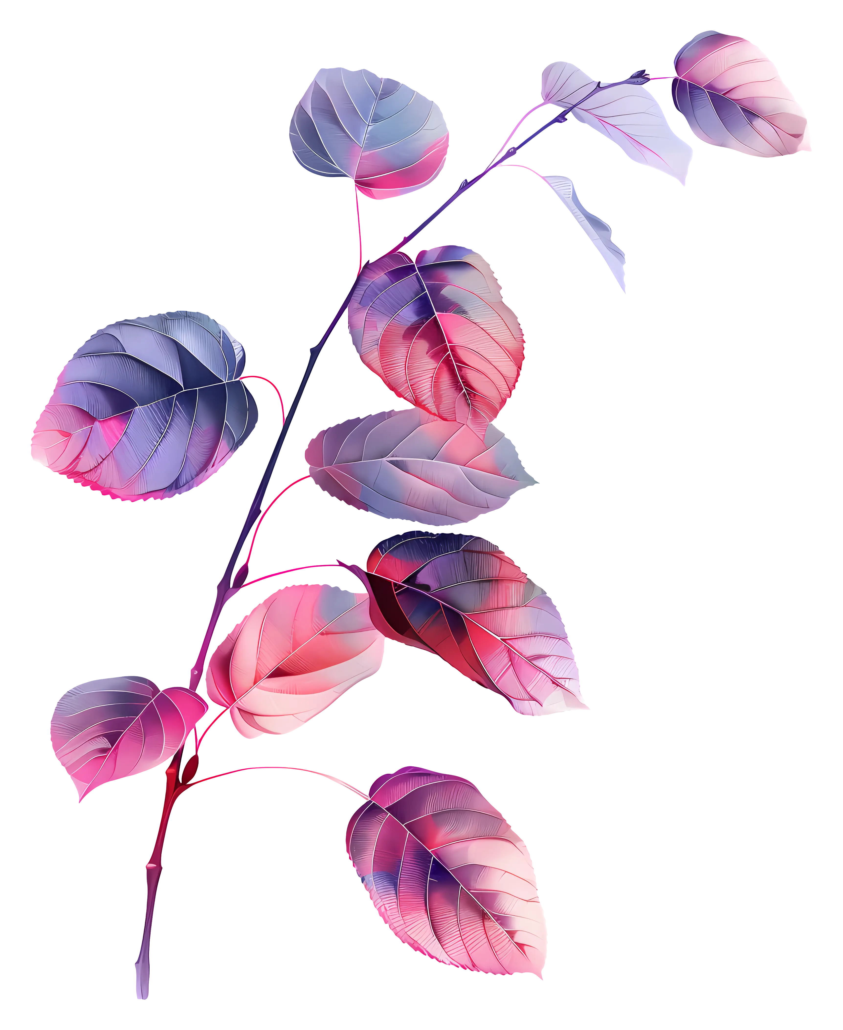 Colorful leaves
