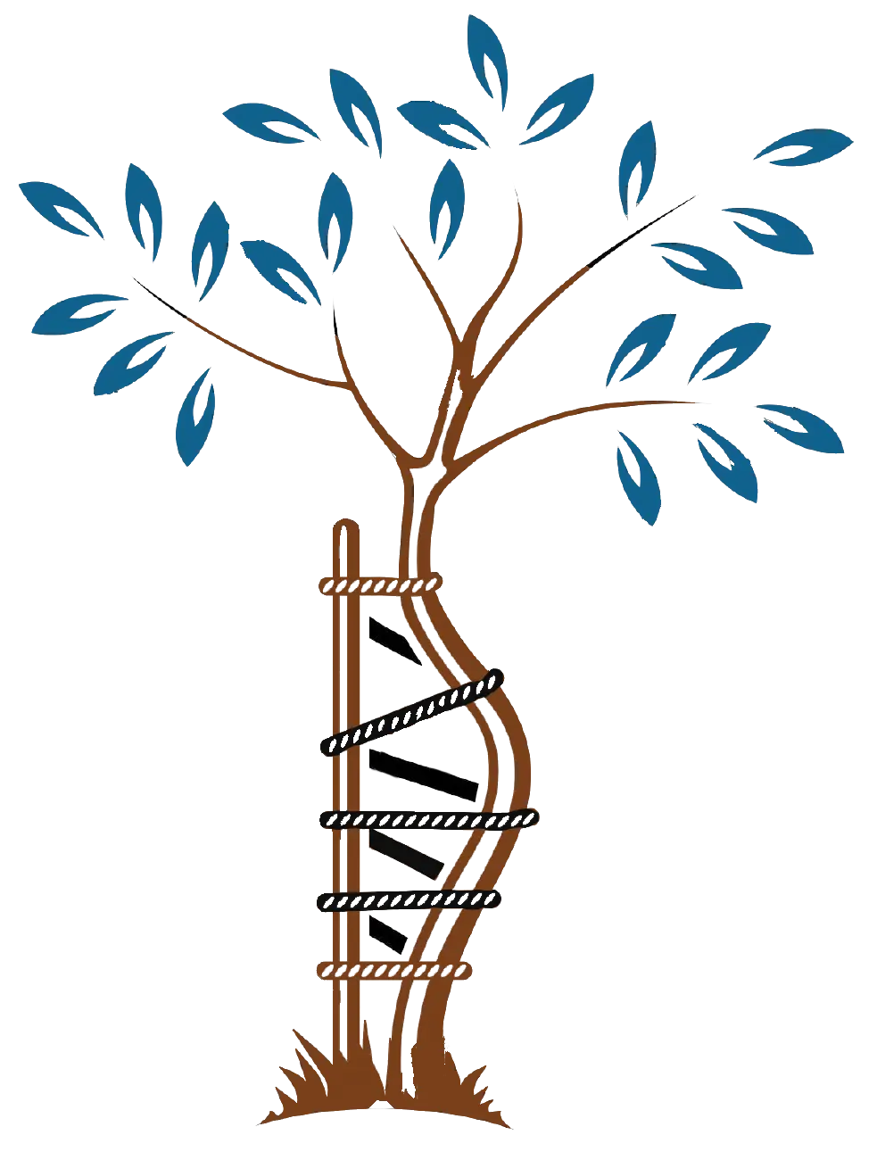 Tree with Blue Leaves and Rope