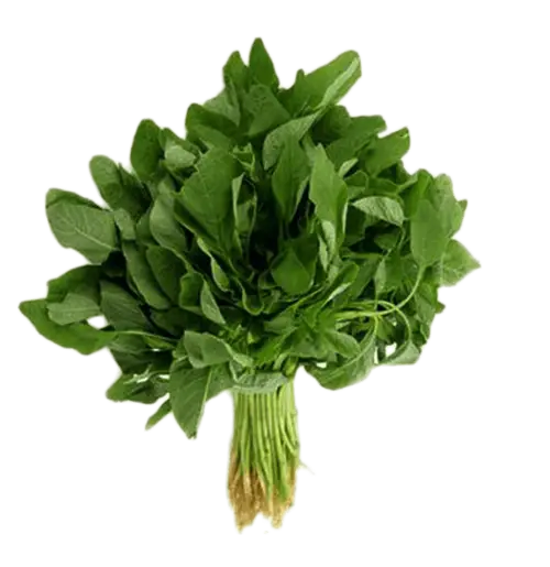 Bunch of Fresh Spinach for Healthy Eating