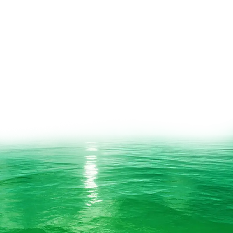 Green Water Surface with Reflection