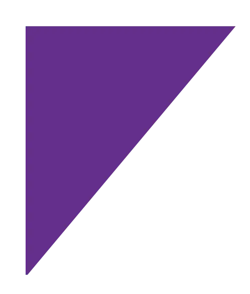 Purple Triangle Shape Design