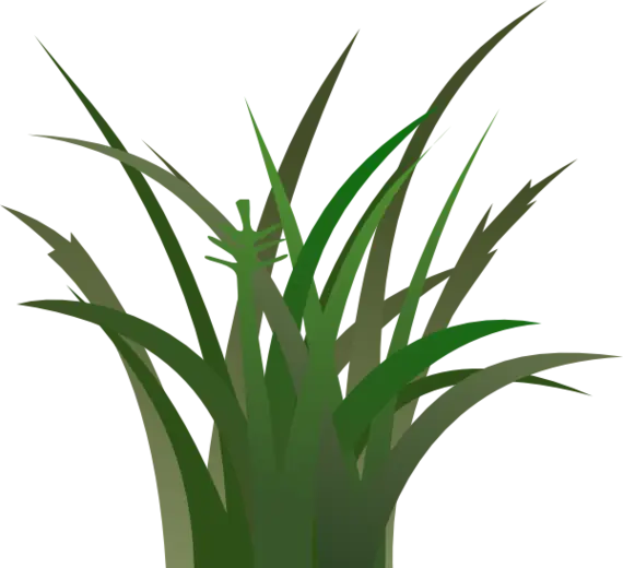 Green Grass for Nature Concepts