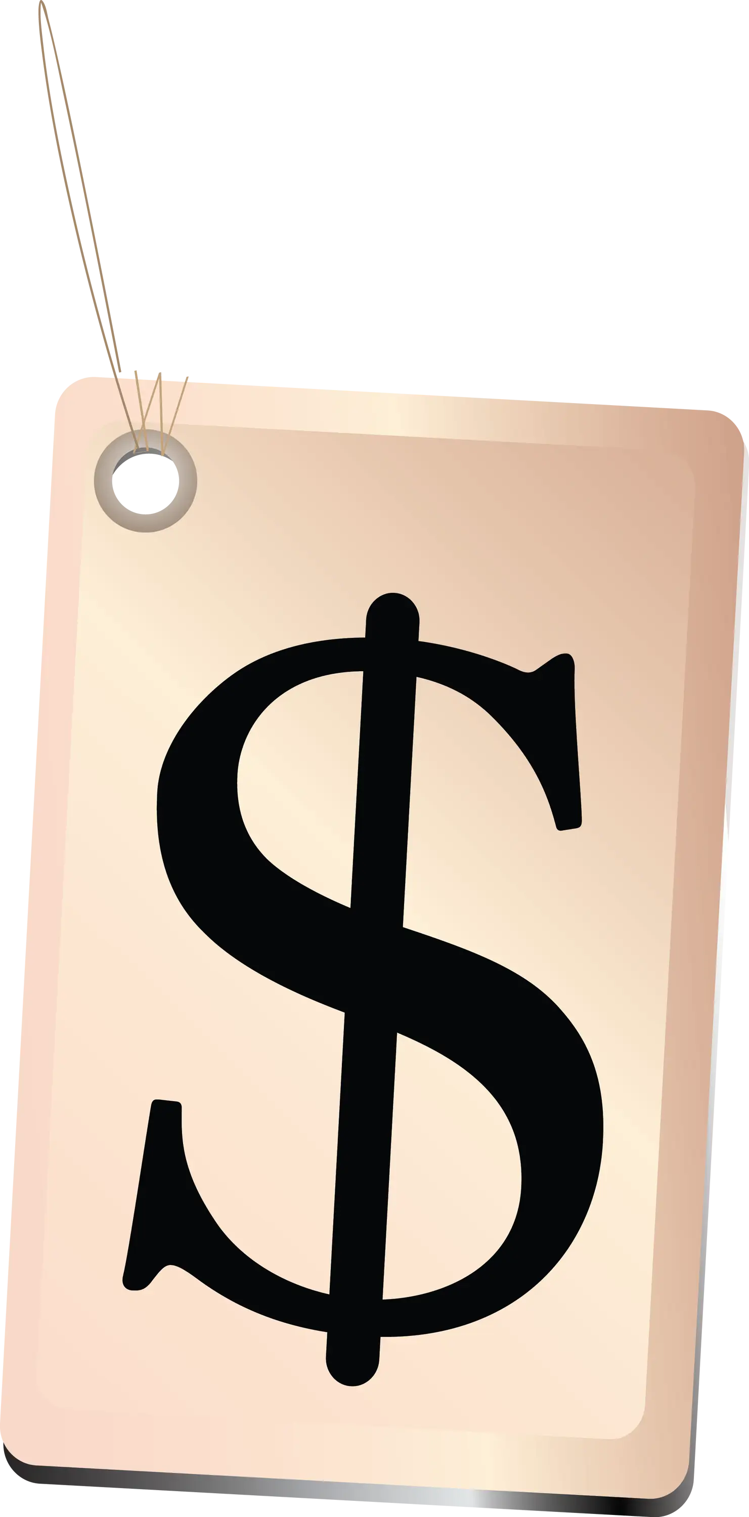 Price Tag with Dollar Symbol