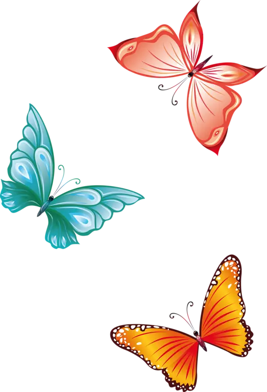 Vivid Colorful Butterfly Illustration