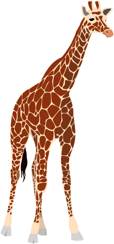 Cartoon Giraffe Illustration