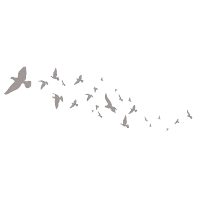 Trail of Birds Flying in Formation