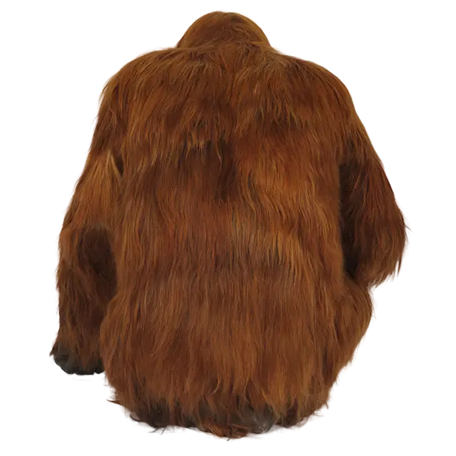 Brown Fur Costume Design