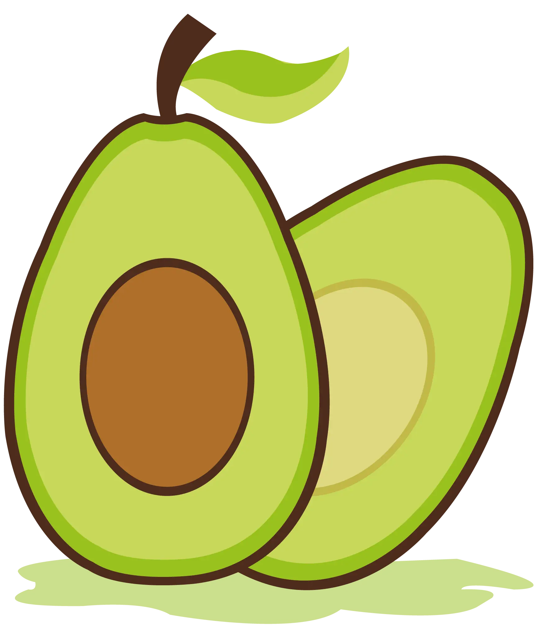 Healthy Green Avocado Illustration