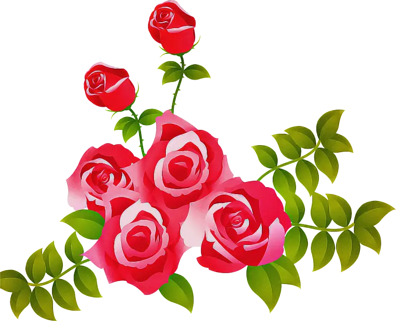 Beautiful Bouquet of Red Roses with Leaves