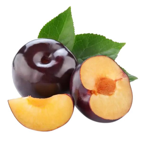 Fresh Plums with Green Leaves
