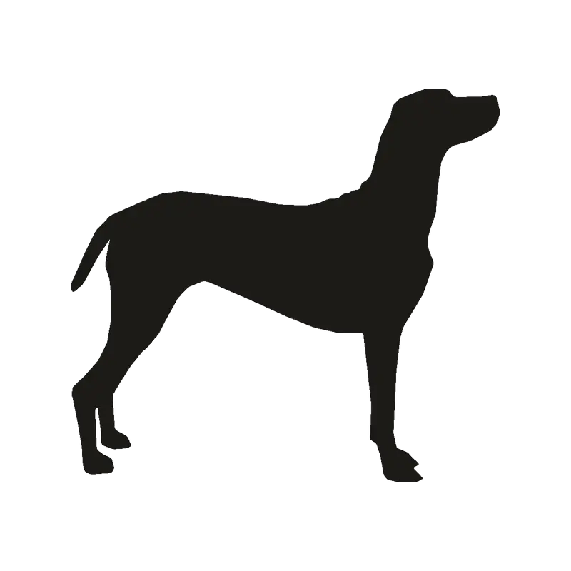 Black Dog Silhouette