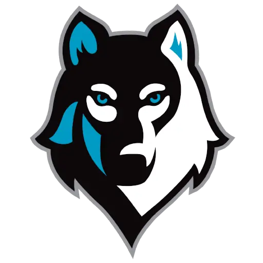 Stylized Wolf Logo Illustration