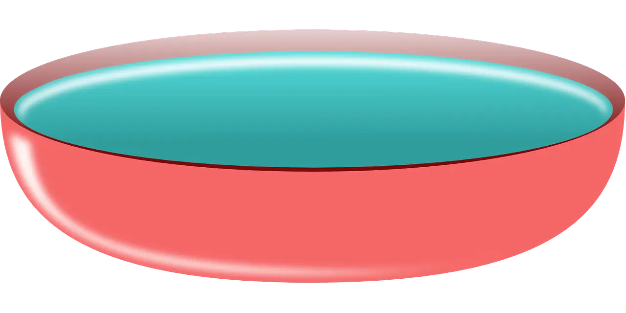 Red and Teal Bowl Illustration