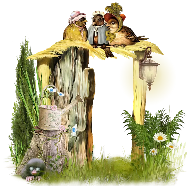 Cute Birds in a Nest