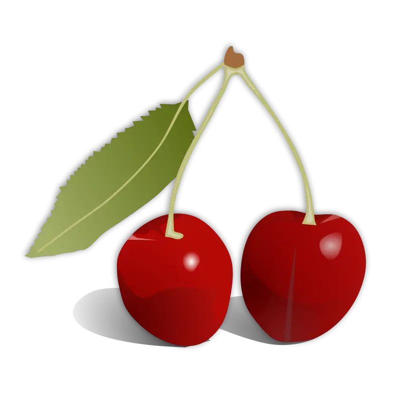 Illustration of Fresh Cherry Fruits