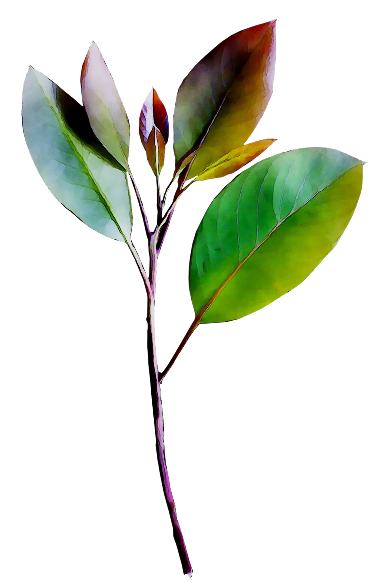 Green Leaf Branch in Natural Style