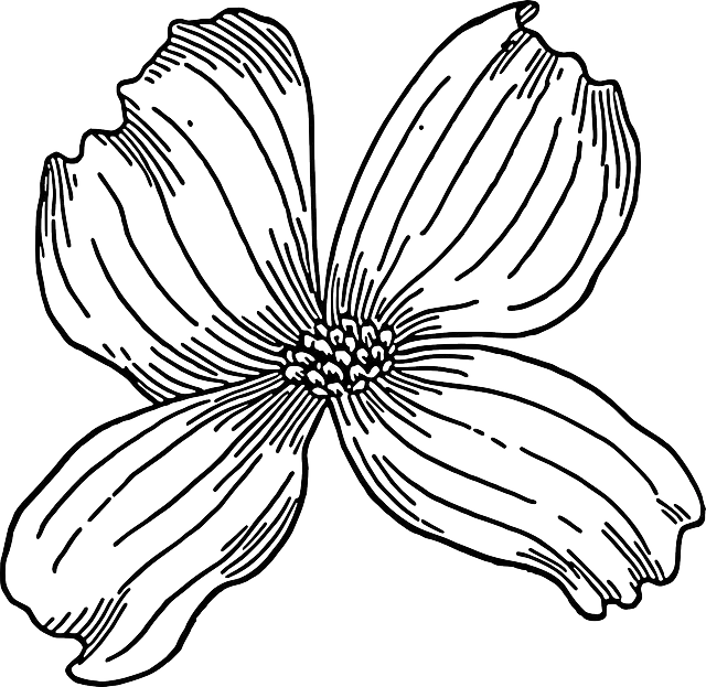 Black and White Flower Sketch