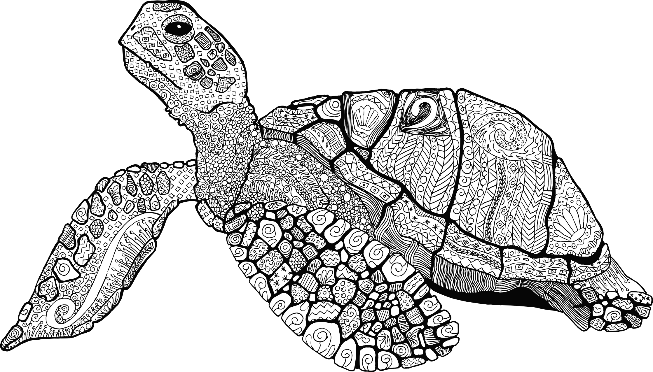 Intricate Turtle Drawing Illustration