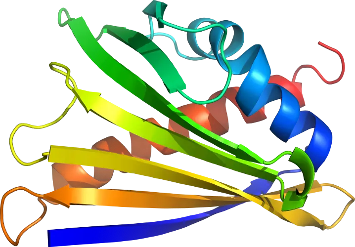 Protein Structure 3D Illustration