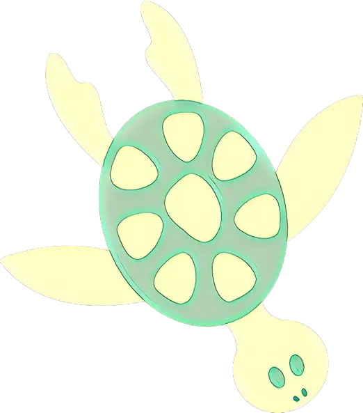 Cute Cartoon Turtle Illustration