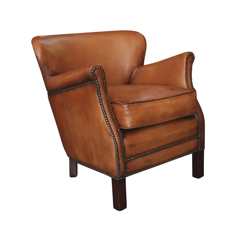 Brown Leather Armchair for Interior Design