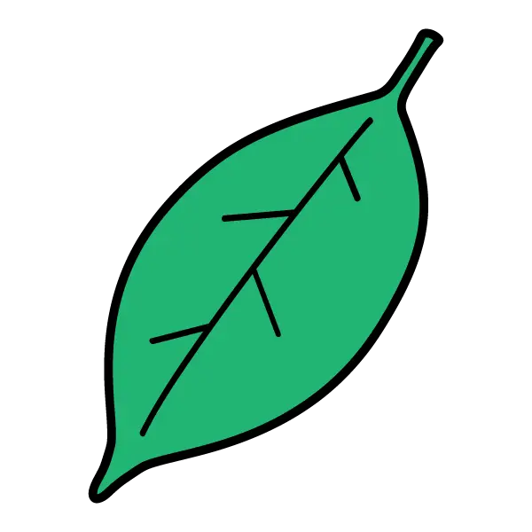 Cartoon Green Leaf Illustration