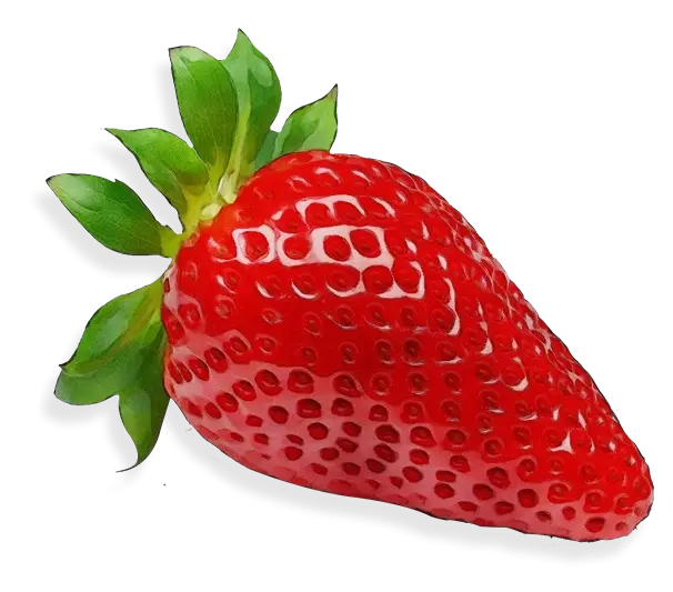 Fresh Red Strawberry Illustration