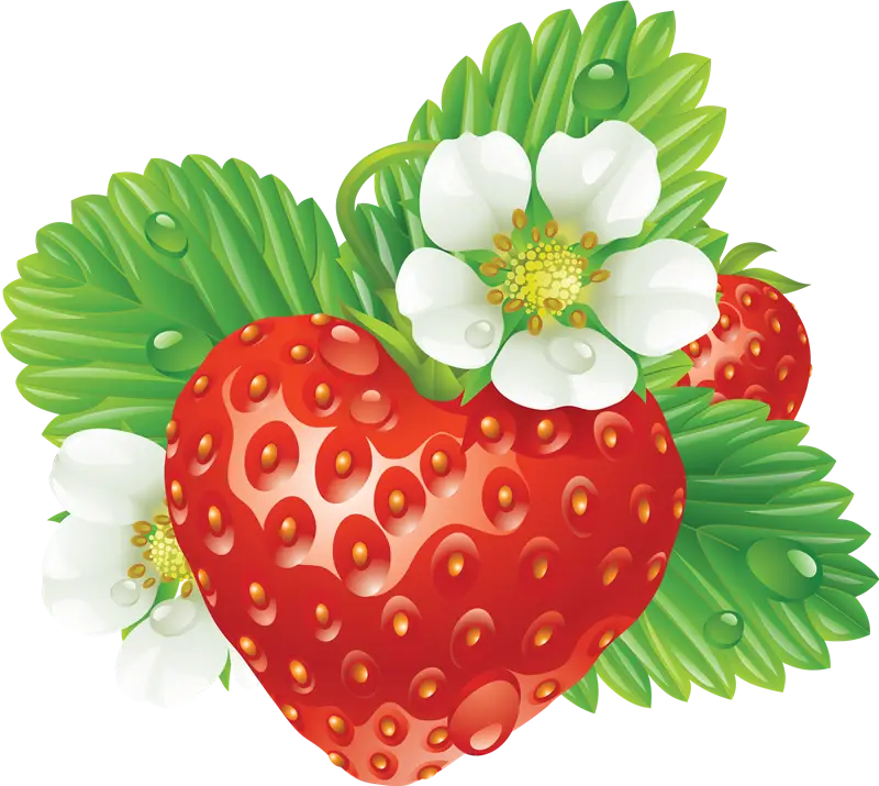 Heart-Shaped Strawberry Illustration