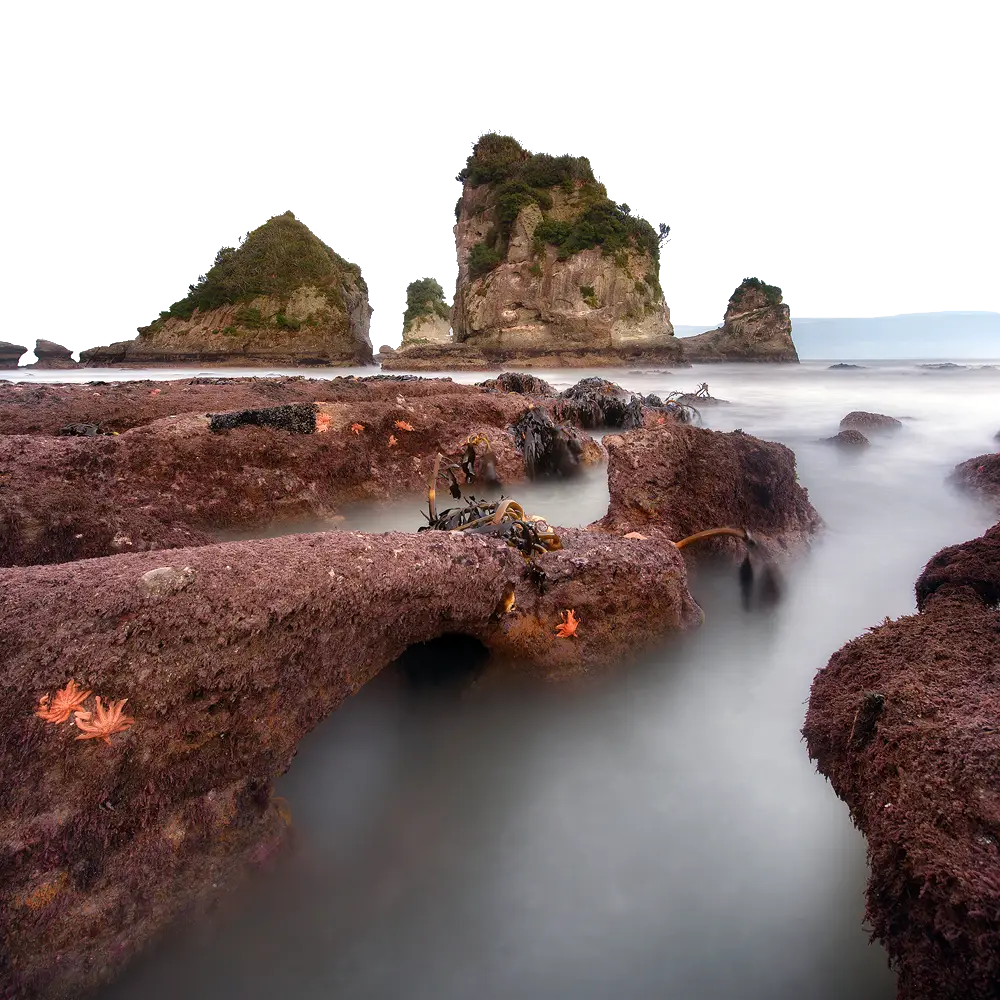 Rocky Shore with Sea View