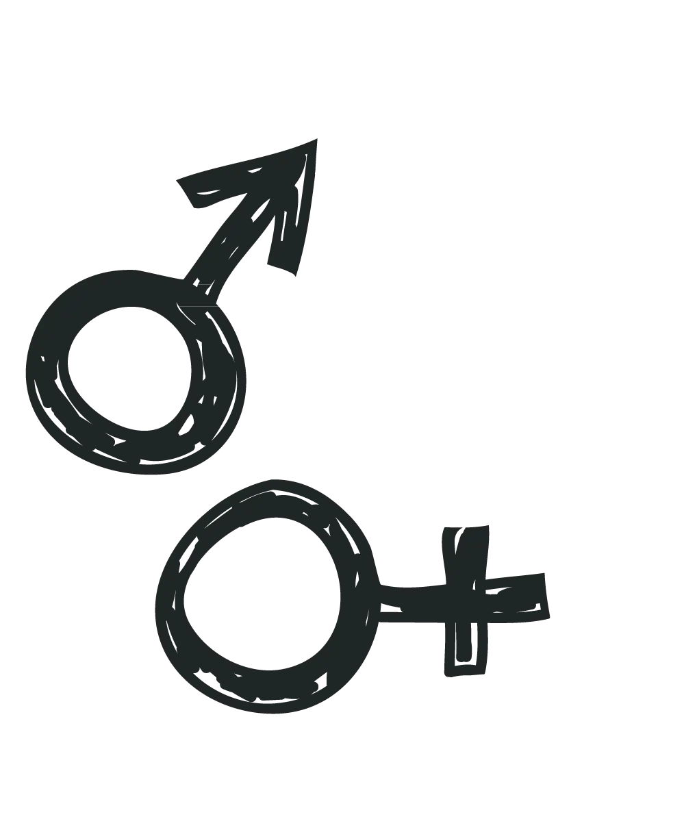 Gender Symbols Illustration